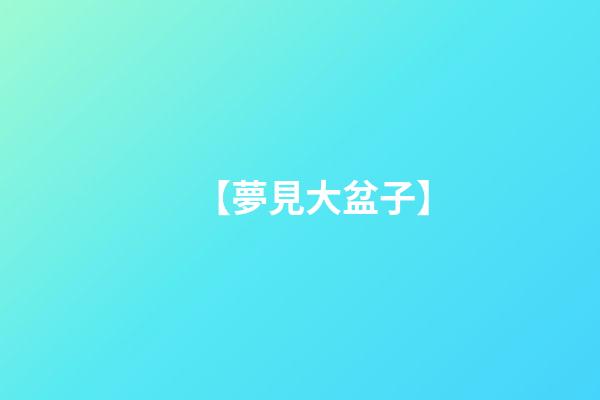 【夢見大盆子】