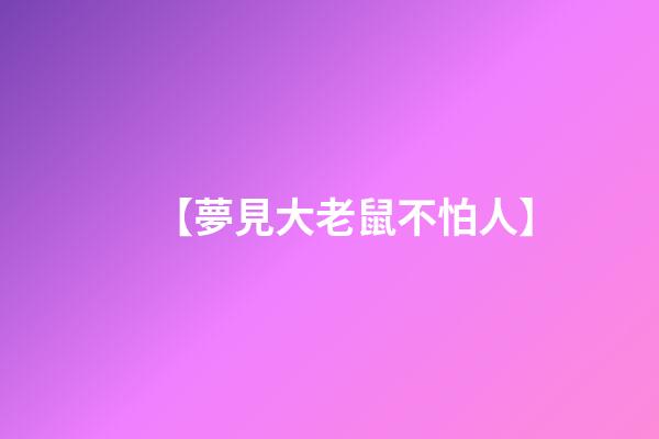 【夢見大老鼠不怕人】
