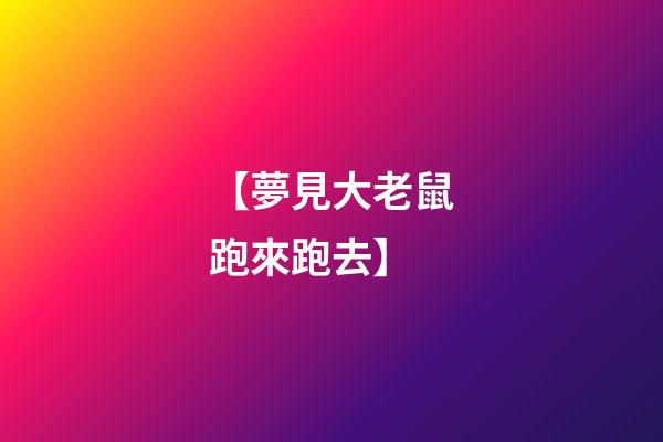 【夢見大老鼠跑來跑去】