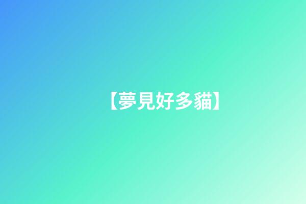 【夢見好多貓】
