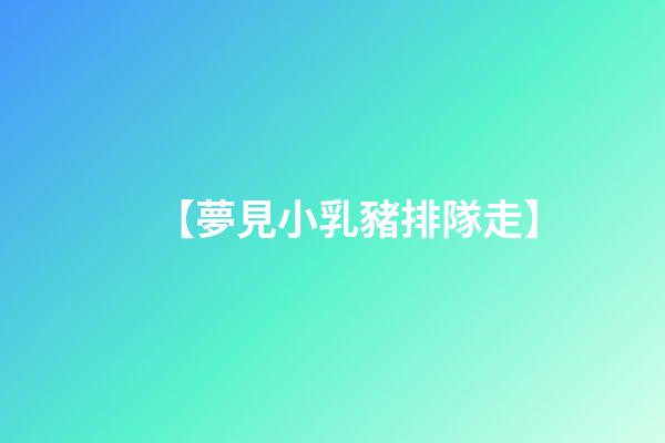 【夢見小乳豬排隊走】