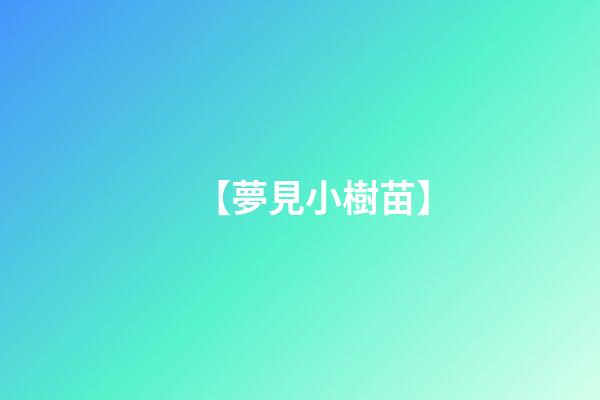 【夢見小樹苗】