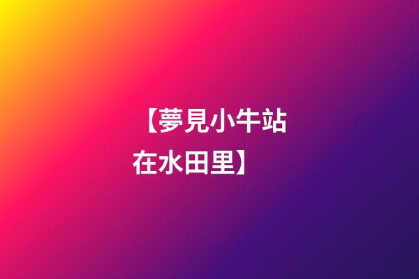 【夢見小牛站在水田里】