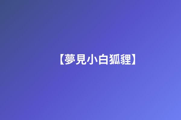 【夢見小白狐貍】