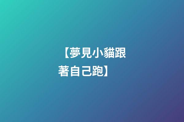 【夢見小貓跟著自己跑】