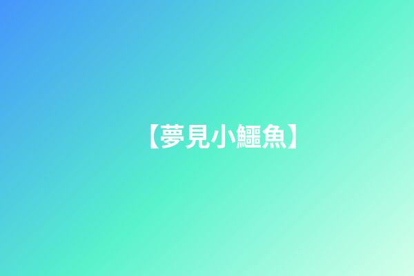 【夢見小鱷魚】