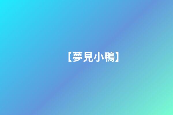 【夢見小鴨】