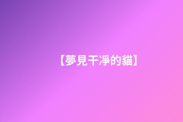 【夢見干凈的貓】