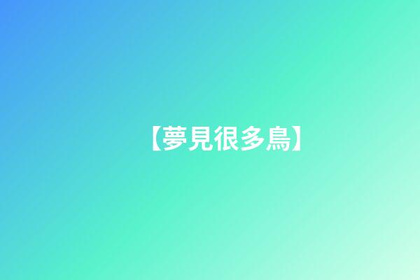 【夢見很多鳥】