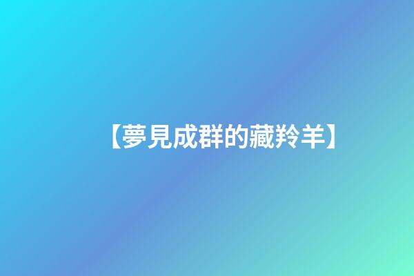【夢見成群的藏羚羊】