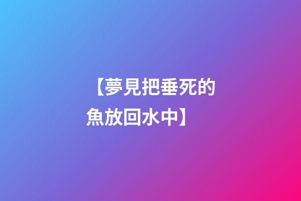 【夢見把垂死的魚放回水中】