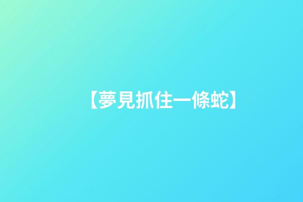 【夢見抓住一條蛇】