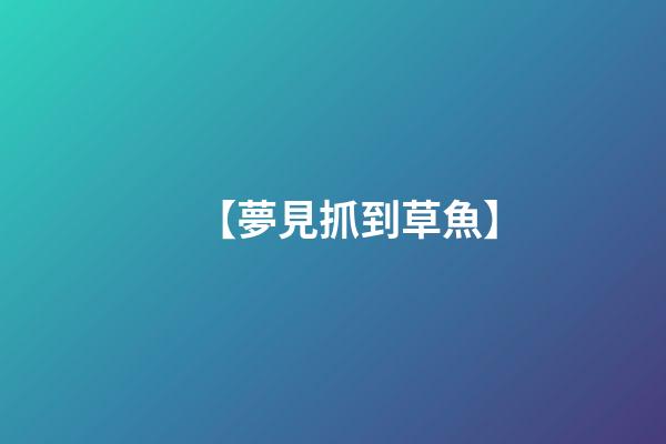 【夢見抓到草魚】
