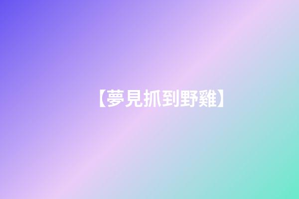【夢見抓到野雞】
