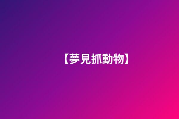 【夢見抓動物】