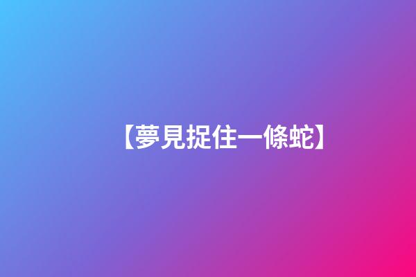 【夢見捉住一條蛇】