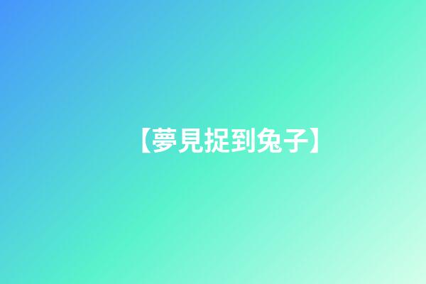 【夢見捉到兔子】