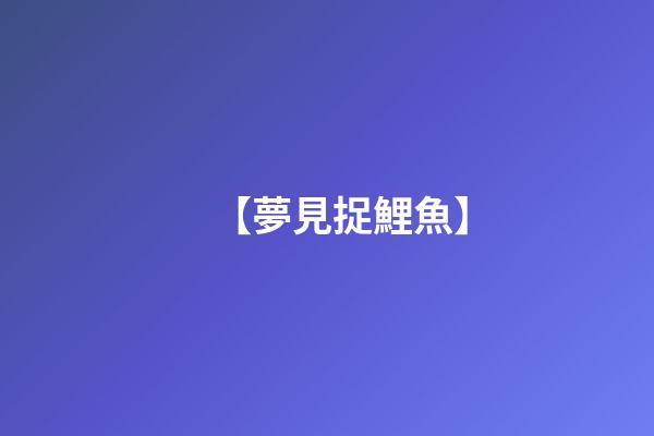 【夢見捉鯉魚】