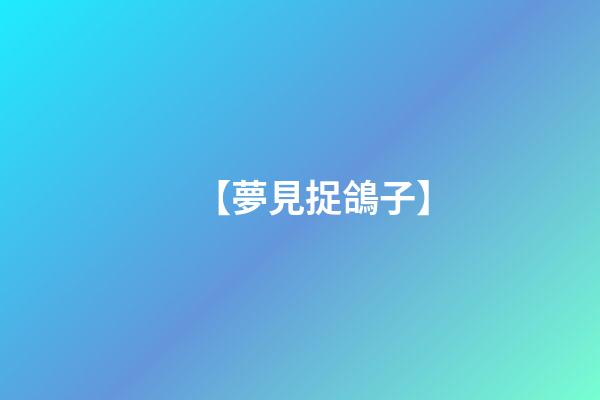 【夢見捉鴿子】