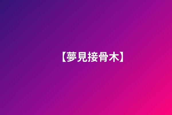 【夢見接骨木】
