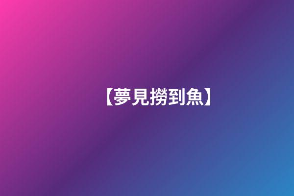 【夢見撈到魚】