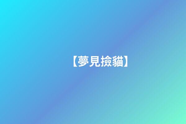 【夢見撿貓】