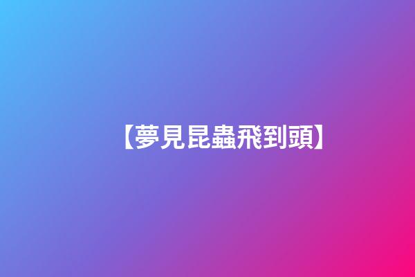 【夢見昆蟲飛到頭】