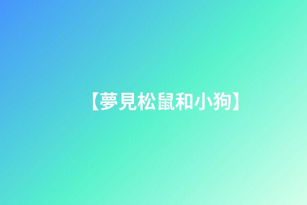 【夢見松鼠和小狗】