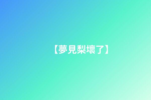 【夢見梨壞了】