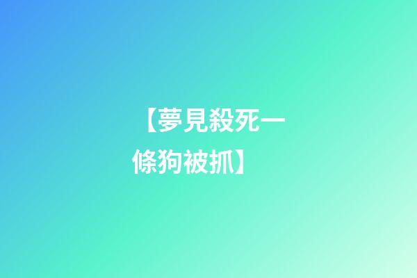 【夢見殺死一條狗被抓】