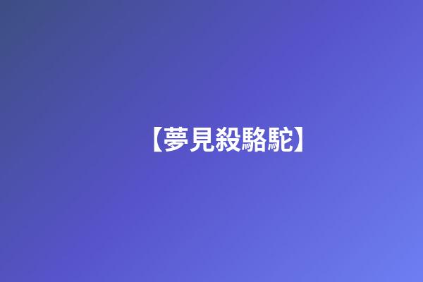 【夢見殺駱駝】
