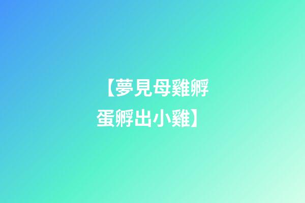 【夢見母雞孵蛋孵出小雞】