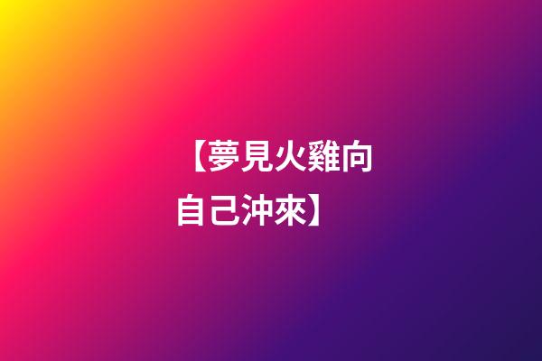 【夢見火雞向自己沖來】