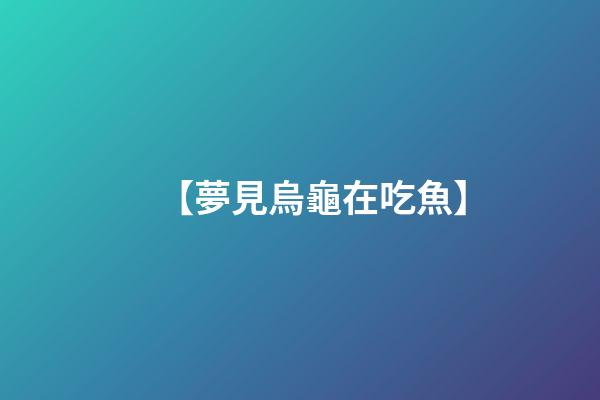 【夢見烏龜在吃魚】