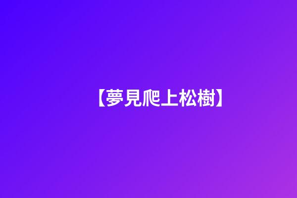 【夢見爬上松樹】