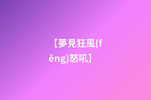【夢見狂風(fēng)怒吼】