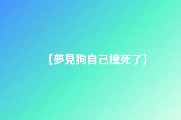 【夢見狗自己撞死了】