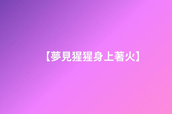 【夢見猩猩身上著火】