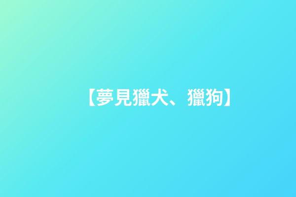 【夢見獵犬、獵狗】