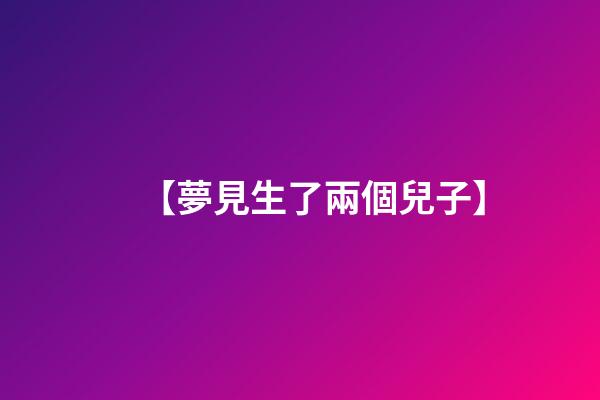 【夢見生了兩個兒子】
