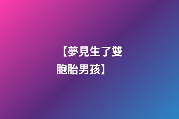 【夢見生了雙胞胎男孩】