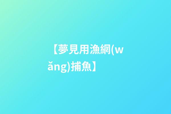 【夢見用漁網(wǎng)捕魚】