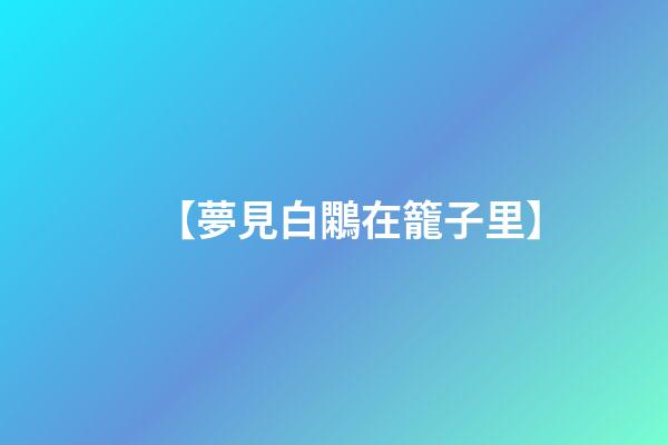 【夢見白鷴在籠子里】