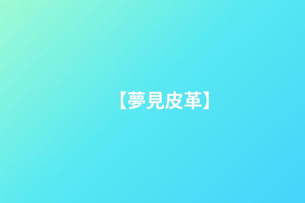【夢見皮革】
