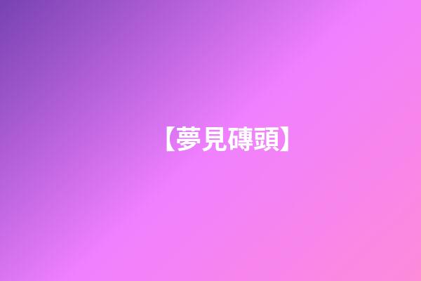 【夢見磚頭】