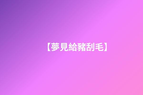 【夢見給豬刮毛】