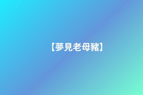 【夢見老母豬】