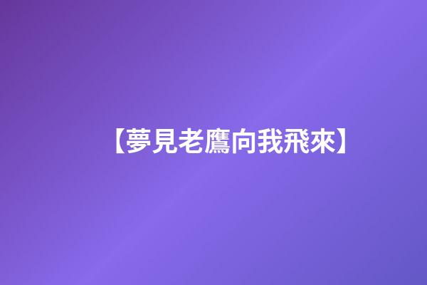 【夢見老鷹向我飛來】