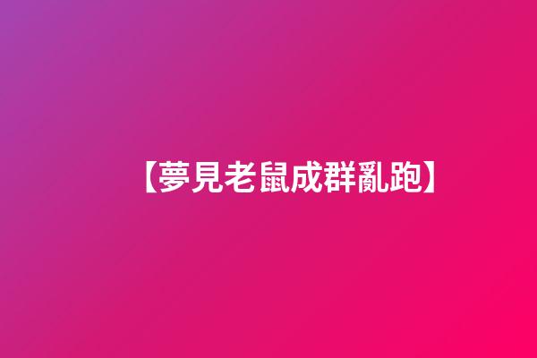 【夢見老鼠成群亂跑】