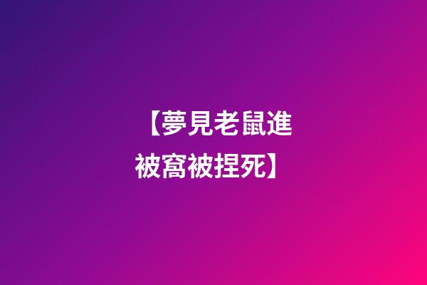 【夢見老鼠進被窩被捏死】